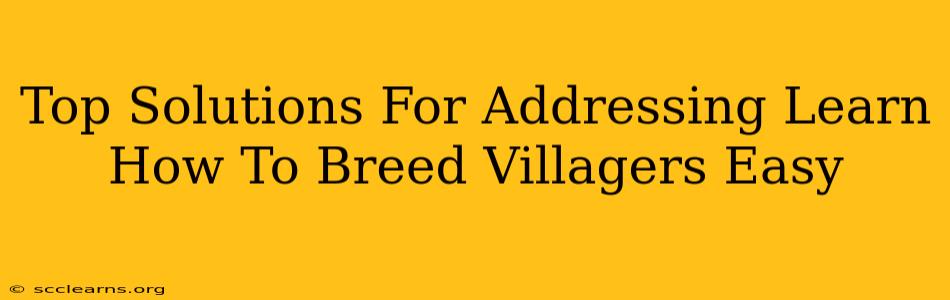 Top Solutions For Addressing Learn How To Breed Villagers Easy