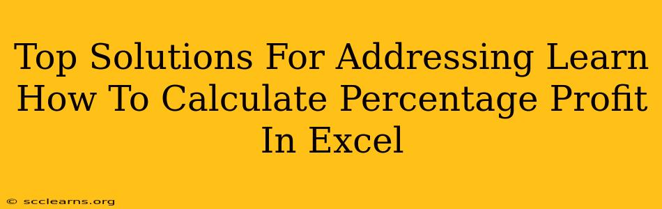 Top Solutions For Addressing Learn How To Calculate Percentage Profit In Excel