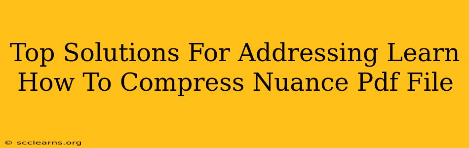 Top Solutions For Addressing Learn How To Compress Nuance Pdf File