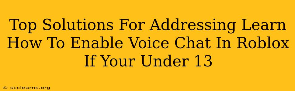 Top Solutions For Addressing Learn How To Enable Voice Chat In Roblox If Your Under 13