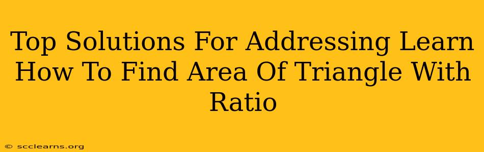 Top Solutions For Addressing Learn How To Find Area Of Triangle With Ratio