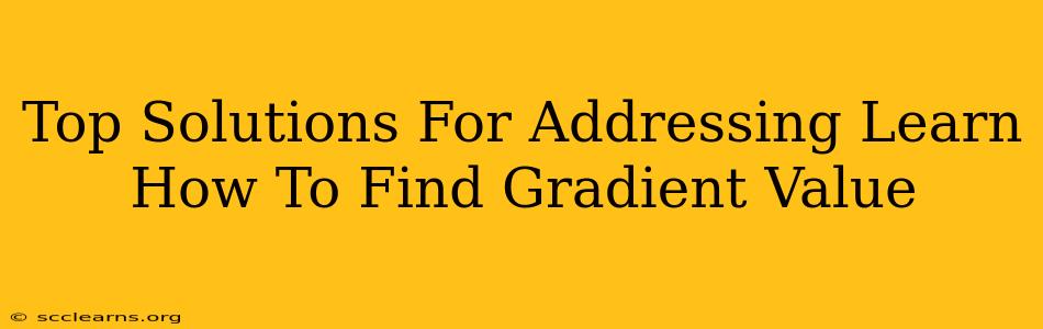 Top Solutions For Addressing Learn How To Find Gradient Value