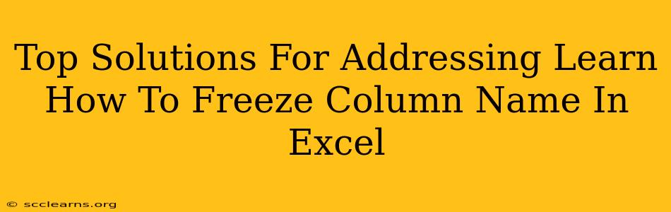 Top Solutions For Addressing Learn How To Freeze Column Name In Excel