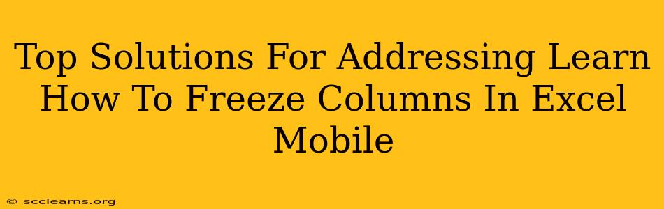 Top Solutions For Addressing Learn How To Freeze Columns In Excel Mobile