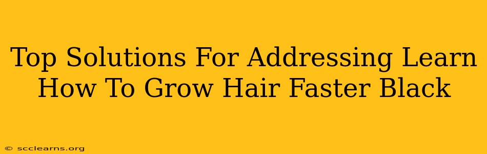 Top Solutions For Addressing Learn How To Grow Hair Faster Black