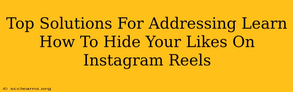 Top Solutions For Addressing Learn How To Hide Your Likes On Instagram Reels