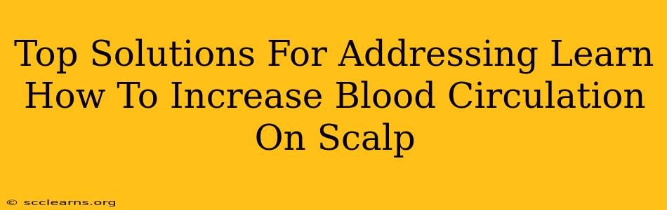 Top Solutions For Addressing Learn How To Increase Blood Circulation On Scalp