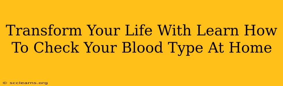 Transform Your Life With Learn How To Check Your Blood Type At Home