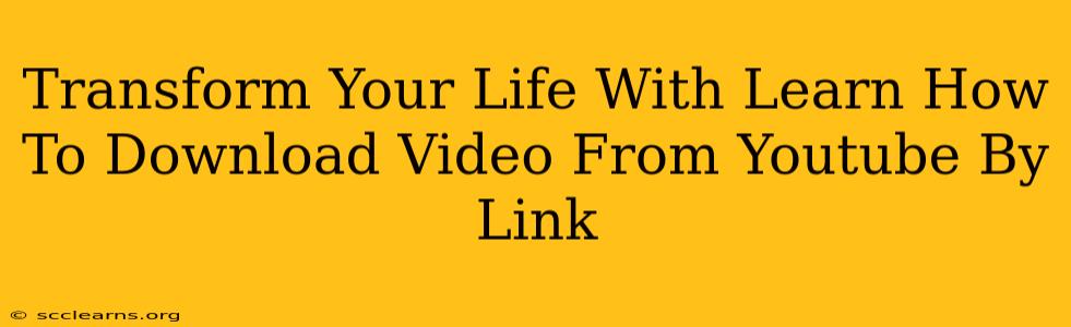 Transform Your Life With Learn How To Download Video From Youtube By Link