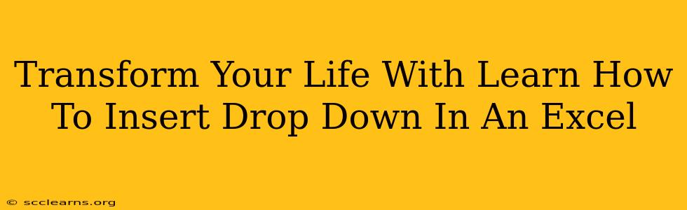 Transform Your Life With Learn How To Insert Drop Down In An Excel