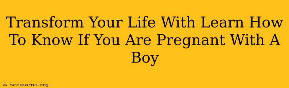 Transform Your Life With Learn How To Know If You Are Pregnant With A Boy