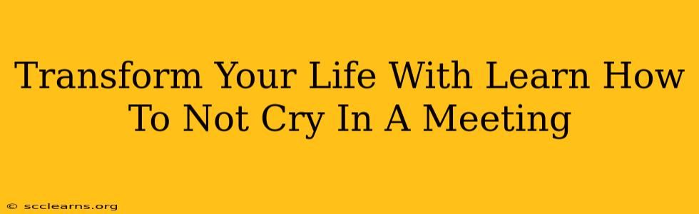 Transform Your Life With Learn How To Not Cry In A Meeting