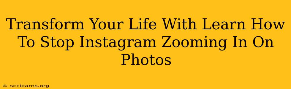 Transform Your Life With Learn How To Stop Instagram Zooming In On Photos