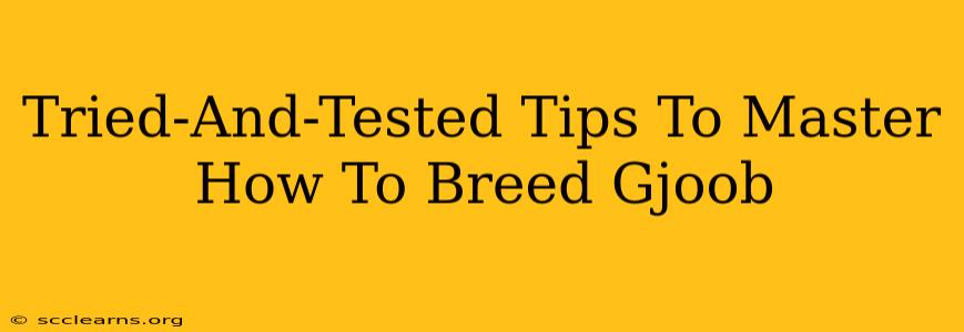 Tried-And-Tested Tips To Master How To Breed Gjoob