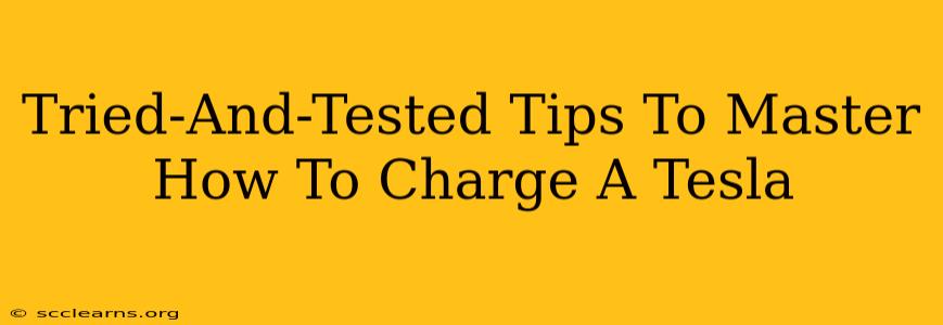 Tried-And-Tested Tips To Master How To Charge A Tesla