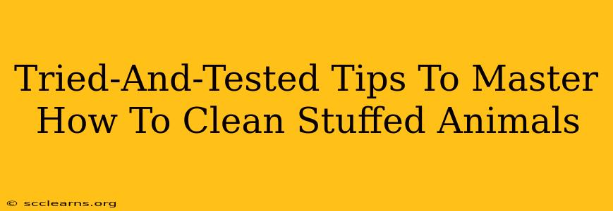 Tried-And-Tested Tips To Master How To Clean Stuffed Animals