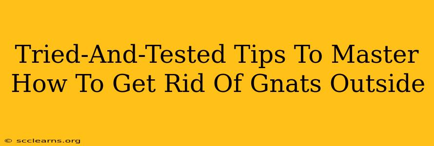 Tried-And-Tested Tips To Master How To Get Rid Of Gnats Outside