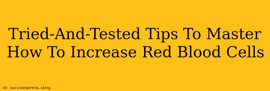 Tried-And-Tested Tips To Master How To Increase Red Blood Cells