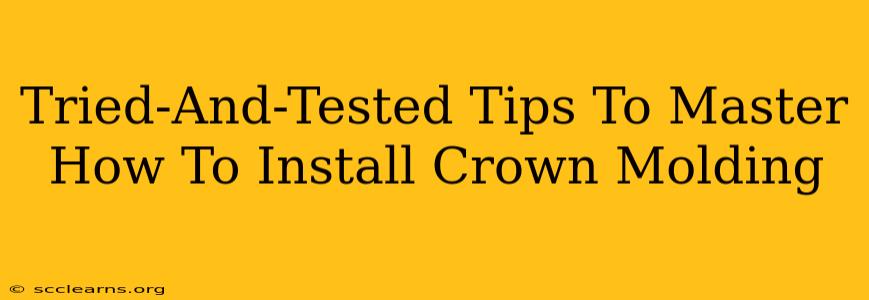 Tried-And-Tested Tips To Master How To Install Crown Molding