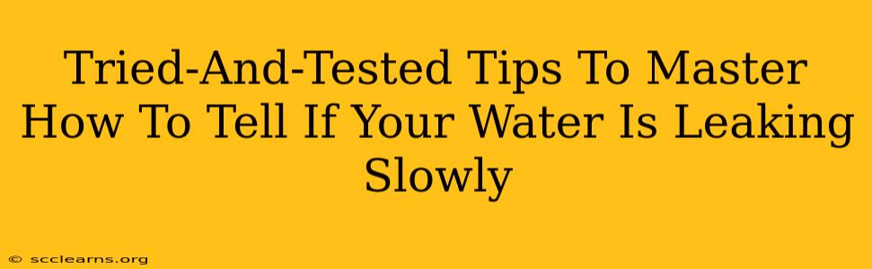 Tried-And-Tested Tips To Master How To Tell If Your Water Is Leaking Slowly