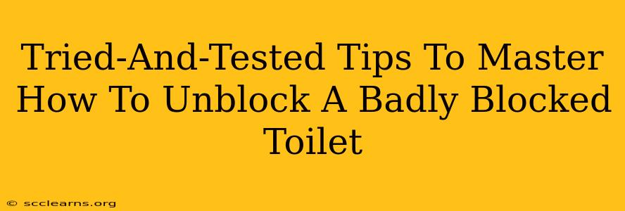 Tried-And-Tested Tips To Master How To Unblock A Badly Blocked Toilet