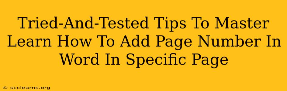 Tried-And-Tested Tips To Master Learn How To Add Page Number In Word In Specific Page