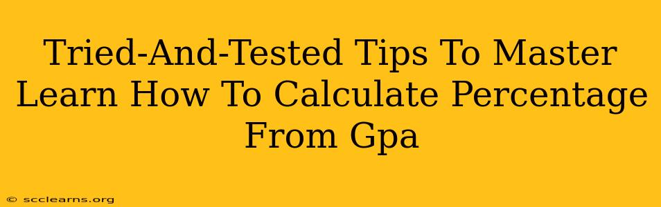 Tried-And-Tested Tips To Master Learn How To Calculate Percentage From Gpa