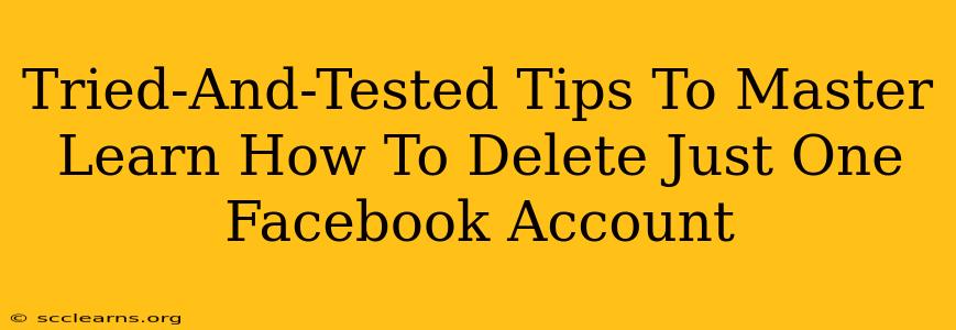 Tried-And-Tested Tips To Master Learn How To Delete Just One Facebook Account