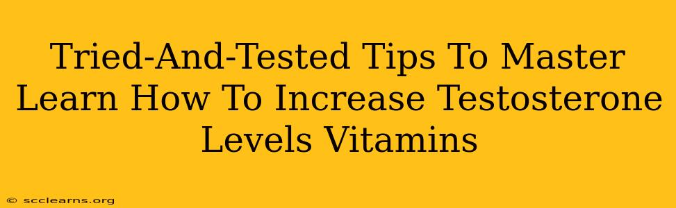 Tried-And-Tested Tips To Master Learn How To Increase Testosterone Levels Vitamins