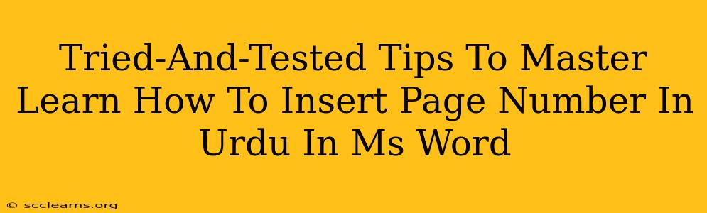 Tried-And-Tested Tips To Master Learn How To Insert Page Number In Urdu In Ms Word