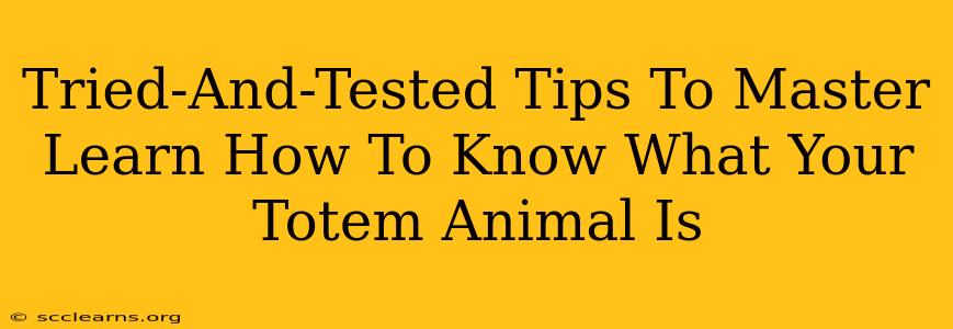 Tried-And-Tested Tips To Master Learn How To Know What Your Totem Animal Is