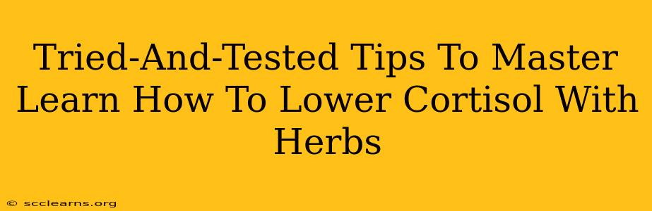 Tried-And-Tested Tips To Master Learn How To Lower Cortisol With Herbs