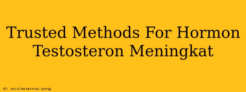 Trusted Methods For Hormon Testosteron Meningkat