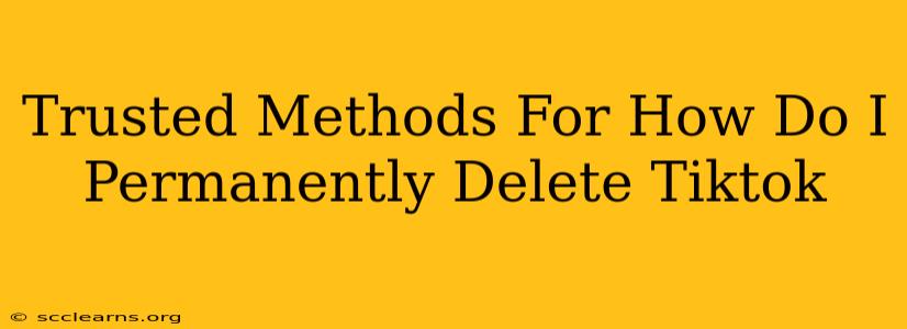 Trusted Methods For How Do I Permanently Delete Tiktok