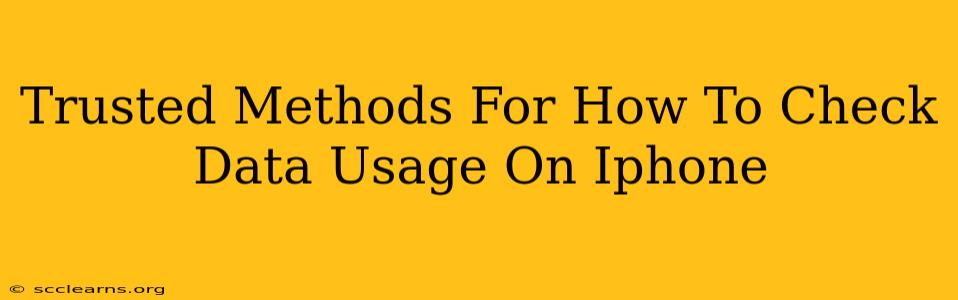 Trusted Methods For How To Check Data Usage On Iphone