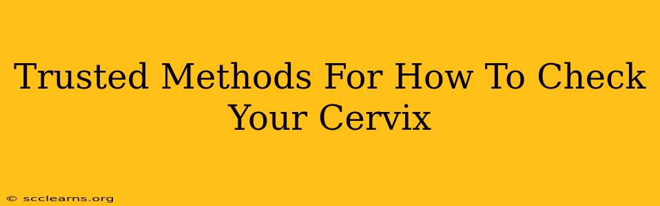 Trusted Methods For How To Check Your Cervix