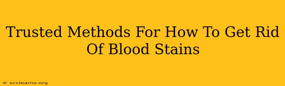 Trusted Methods For How To Get Rid Of Blood Stains