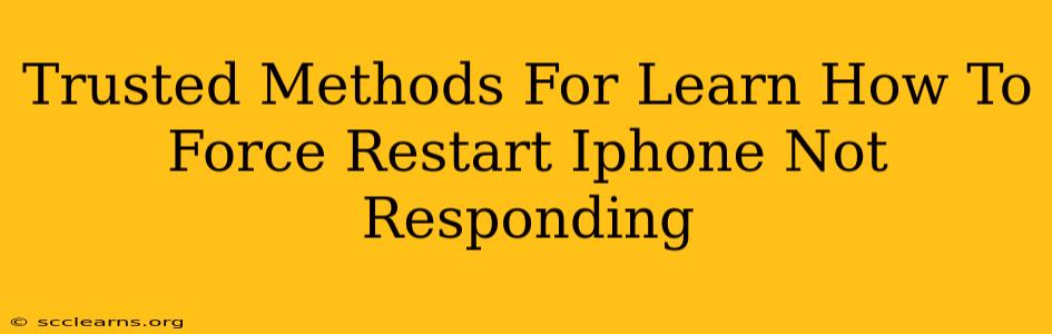 Trusted Methods For Learn How To Force Restart Iphone Not Responding