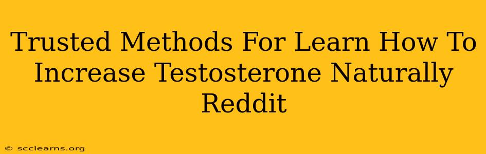 Trusted Methods For Learn How To Increase Testosterone Naturally Reddit