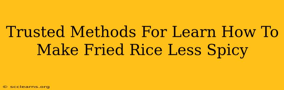 Trusted Methods For Learn How To Make Fried Rice Less Spicy