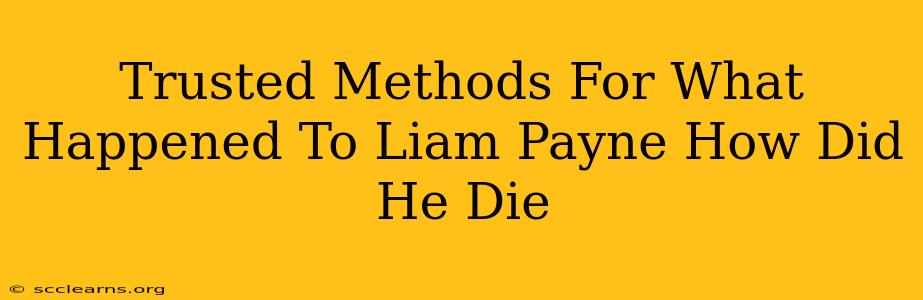 Trusted Methods For What Happened To Liam Payne How Did He Die