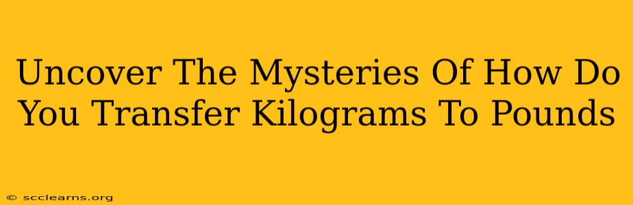 Uncover The Mysteries Of How Do You Transfer Kilograms To Pounds