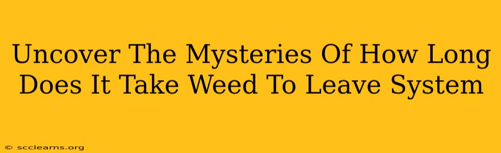 Uncover The Mysteries Of How Long Does It Take Weed To Leave System