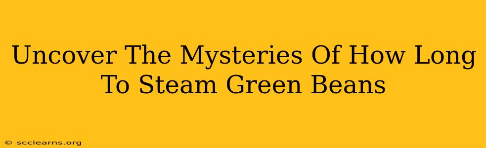 Uncover The Mysteries Of How Long To Steam Green Beans