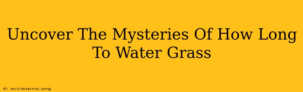 Uncover The Mysteries Of How Long To Water Grass