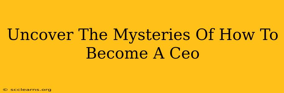 Uncover The Mysteries Of How To Become A Ceo