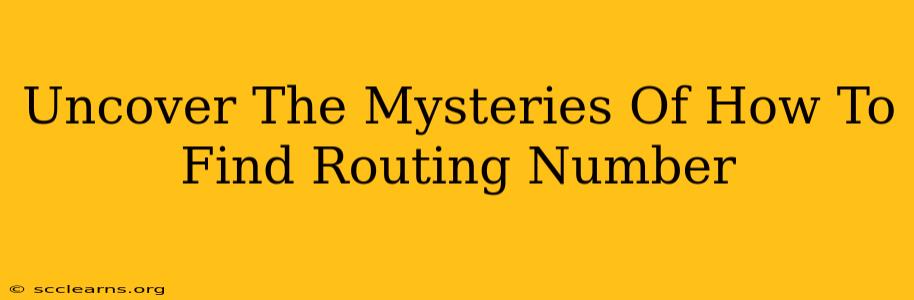 Uncover The Mysteries Of How To Find Routing Number