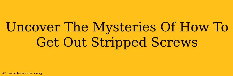 Uncover The Mysteries Of How To Get Out Stripped Screws