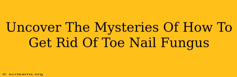 Uncover The Mysteries Of How To Get Rid Of Toe Nail Fungus