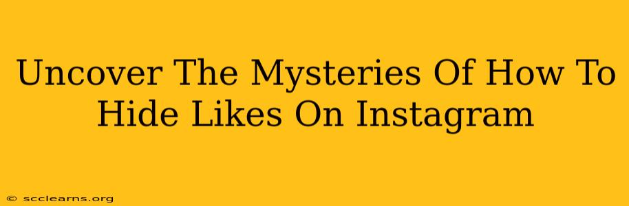 Uncover The Mysteries Of How To Hide Likes On Instagram